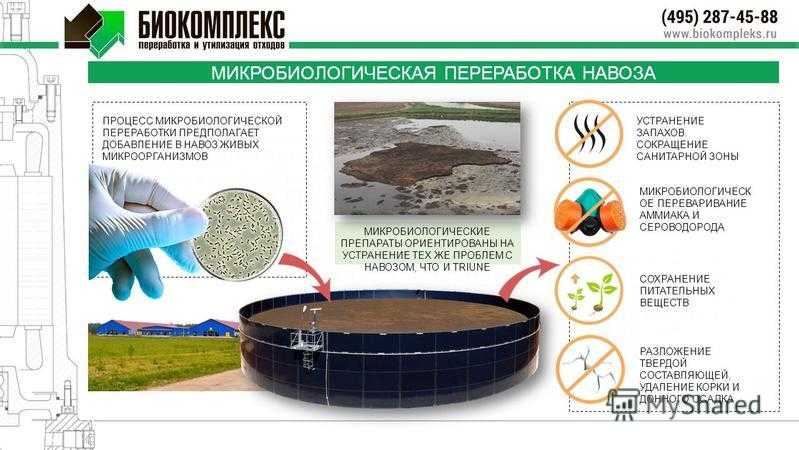 Biolatic бактерии для переработки навоза