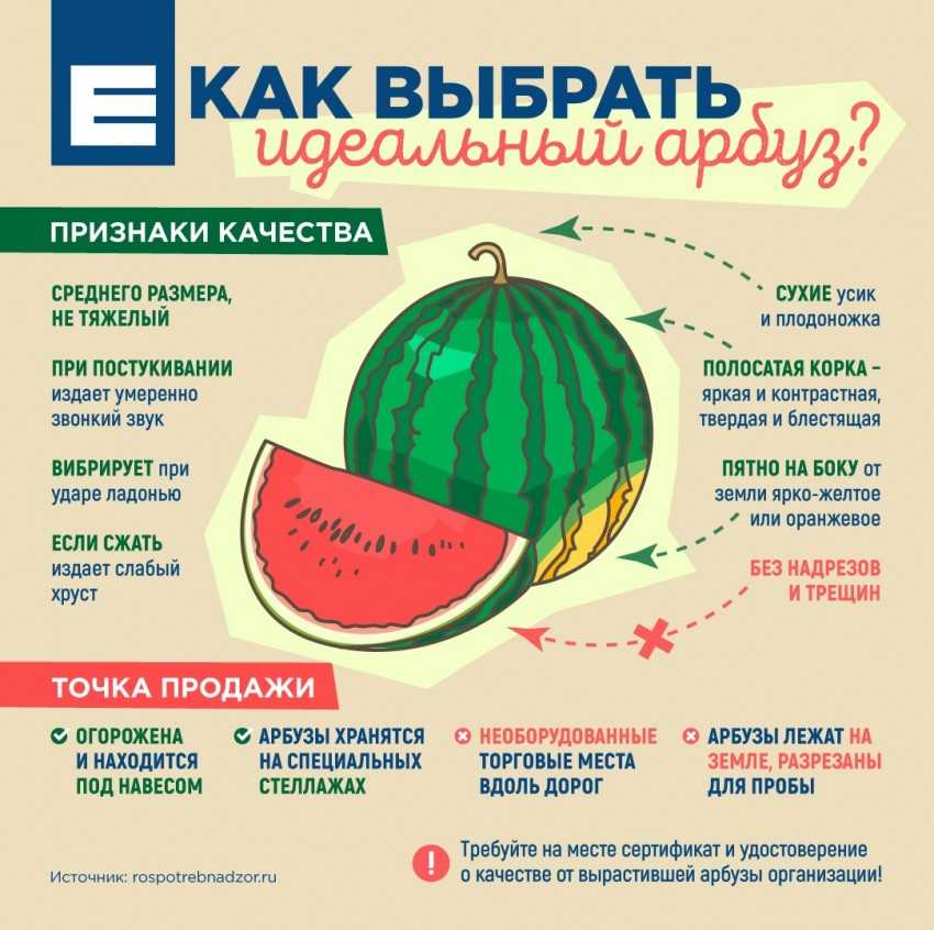 Что такое кормовой арбуз