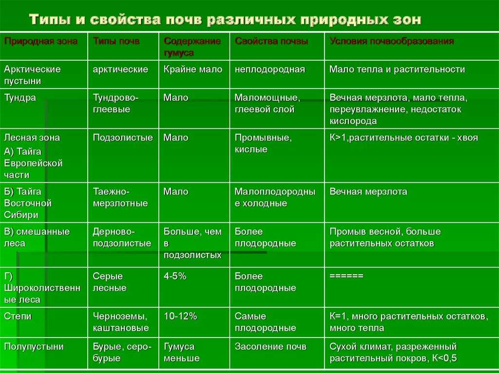 Климат средней тайги россии: особенности и характеристики