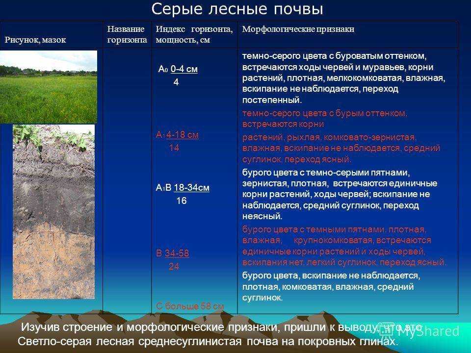 Термодинамические свойства и энергетика гумуса разновозрастных почв крымского полуострова журнал живые и биокосные системы