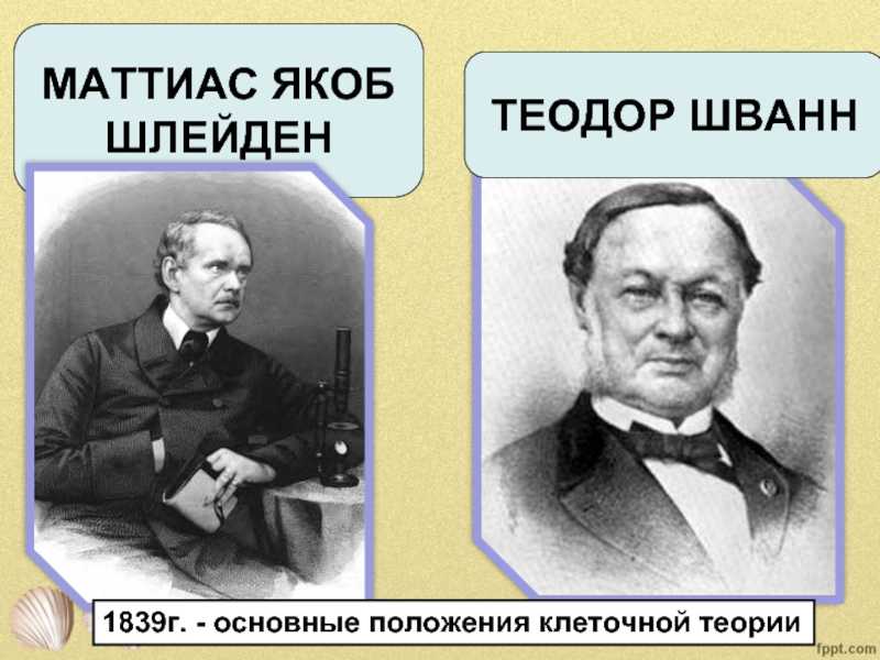 Теодор шванн - theodor schwann
