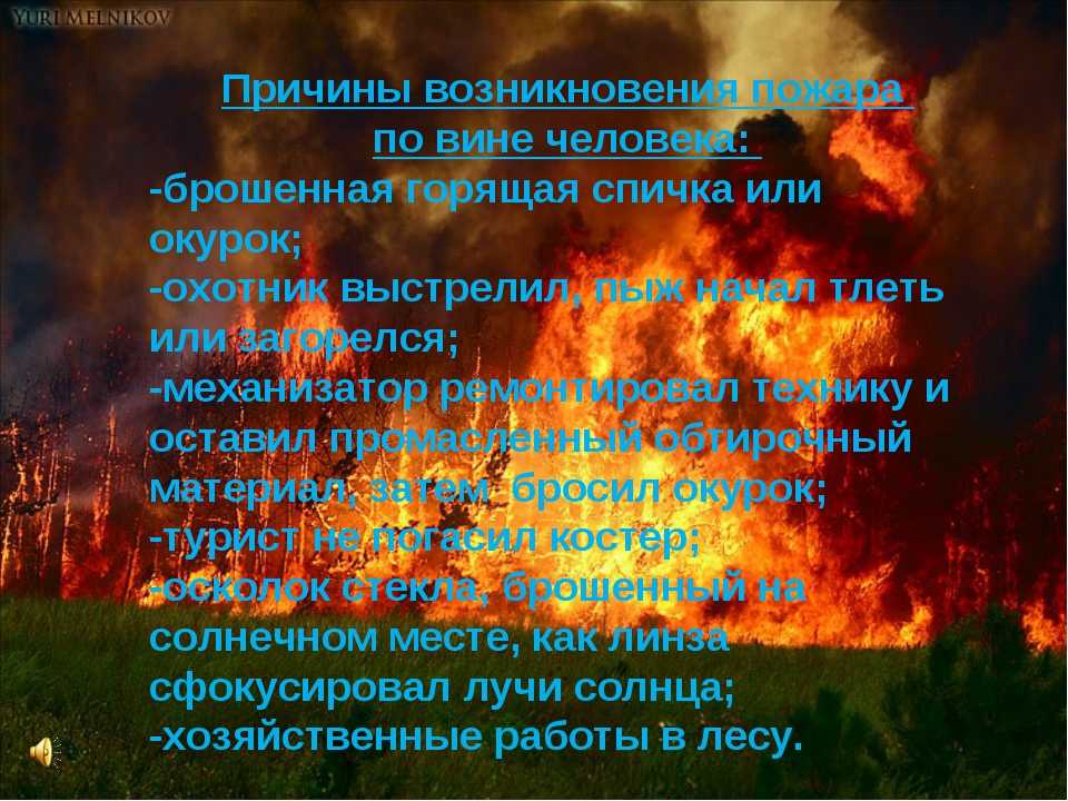 Скорость распространения низового лесного пожара - эксперт по безопасности