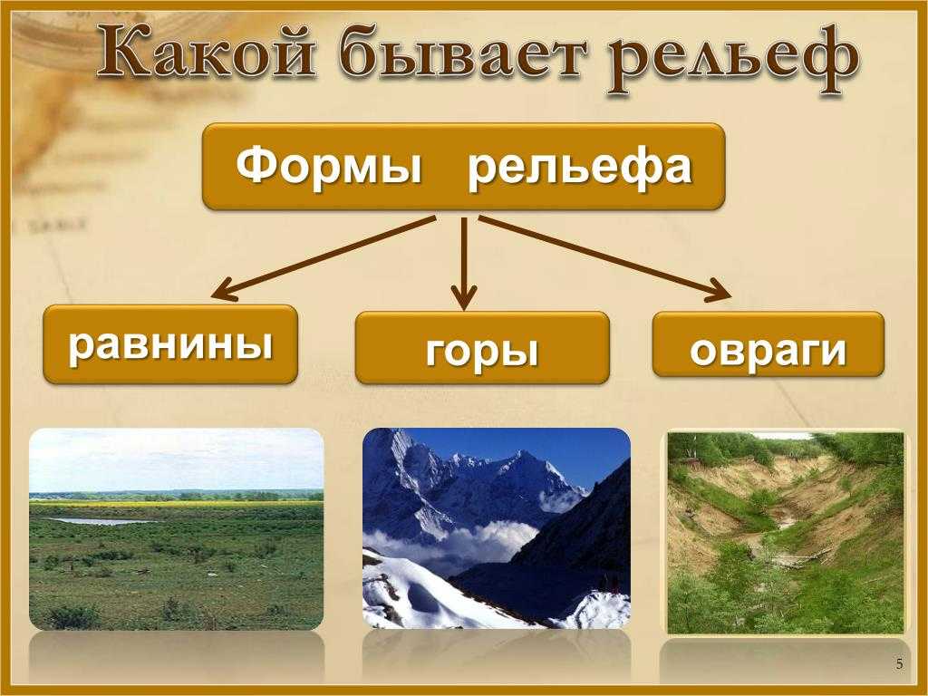 Каковы эндогенные и экзогенные процессы земли?