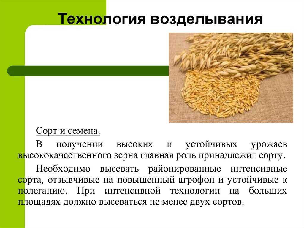 Технология. учебнометодическое пособие для студентов по специальностям 125 01 07экономика и управление на предприятии