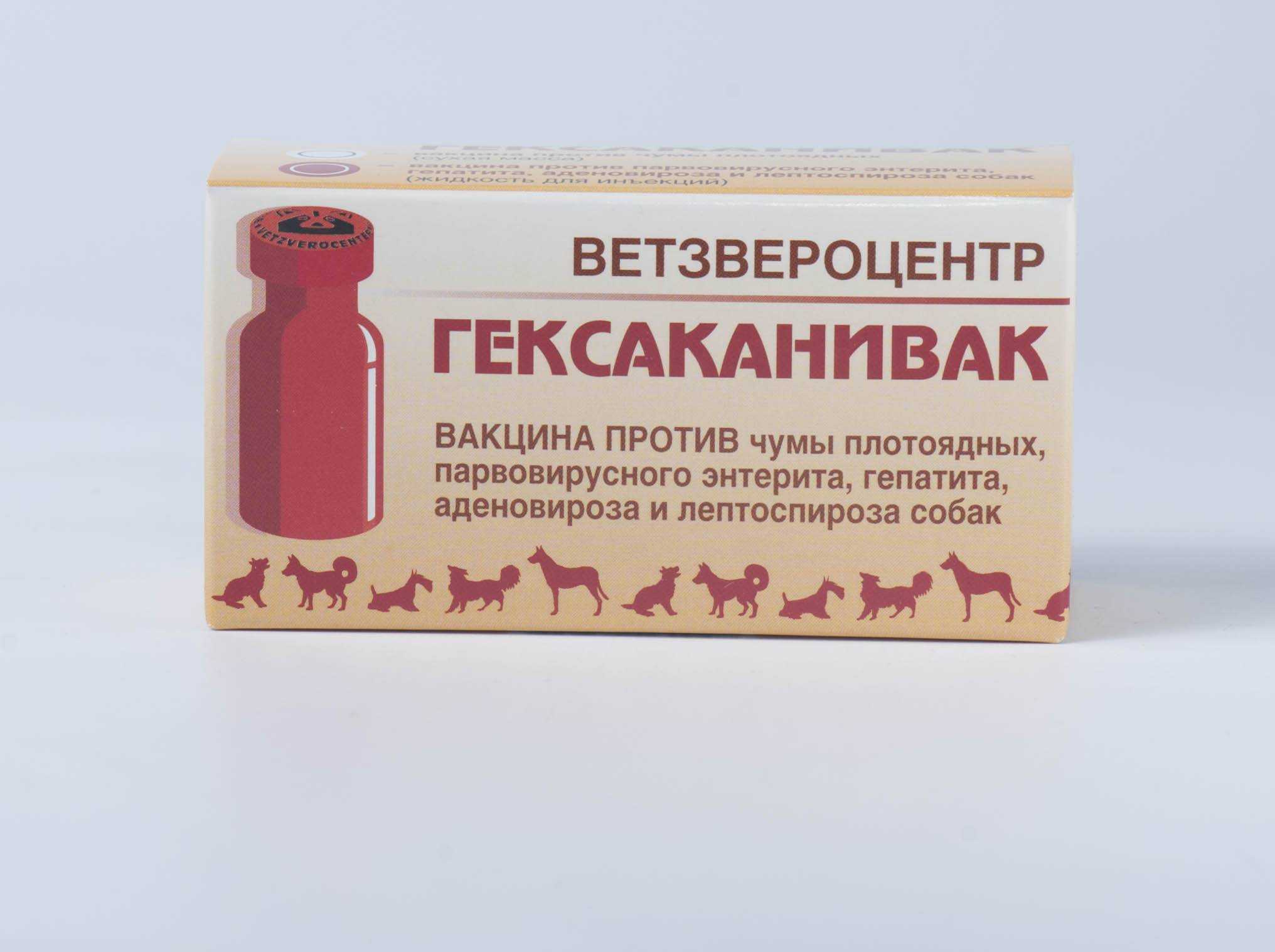 Significance of modern methods for laboratory detection of rabies agents and identification of the zoonose immunological survey