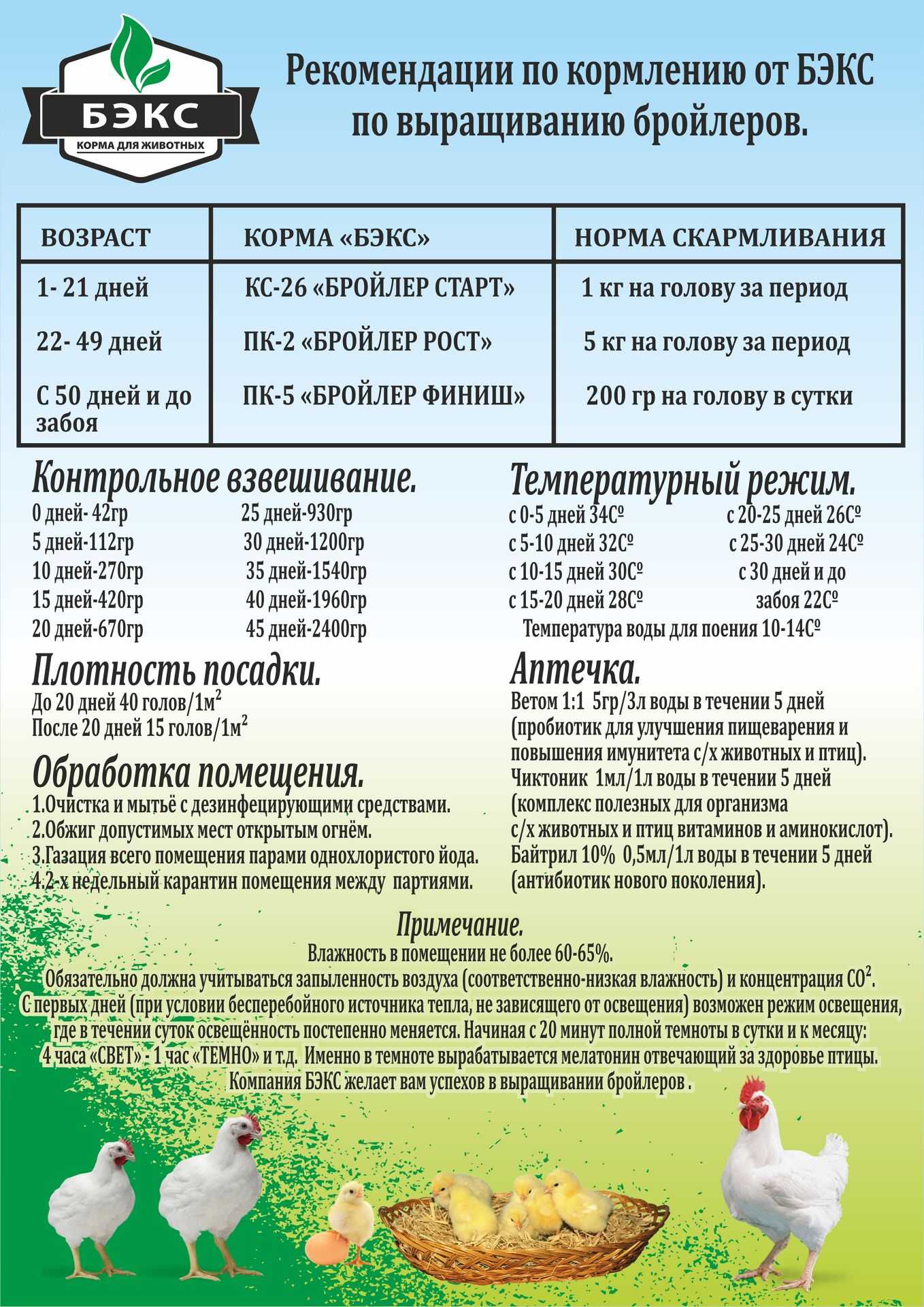 Главные правила кормления кур