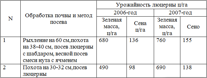 Люцерна: свойства, уход и посев