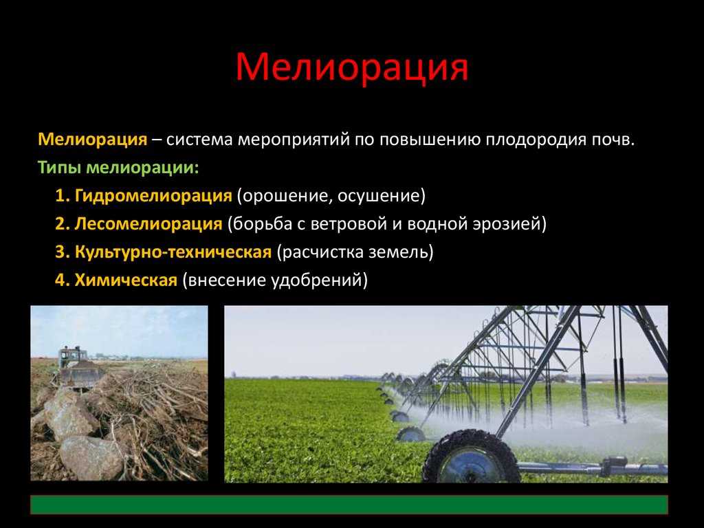 Коренное улучшение (создание) лугов и пастбищ. рациональное использование сенокосов и пастбищ - реферат