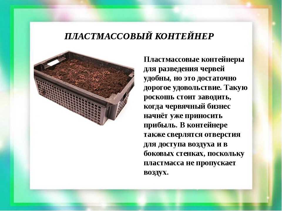 Дождевые черви — зачем нужны и как их развести для производства удобрения?