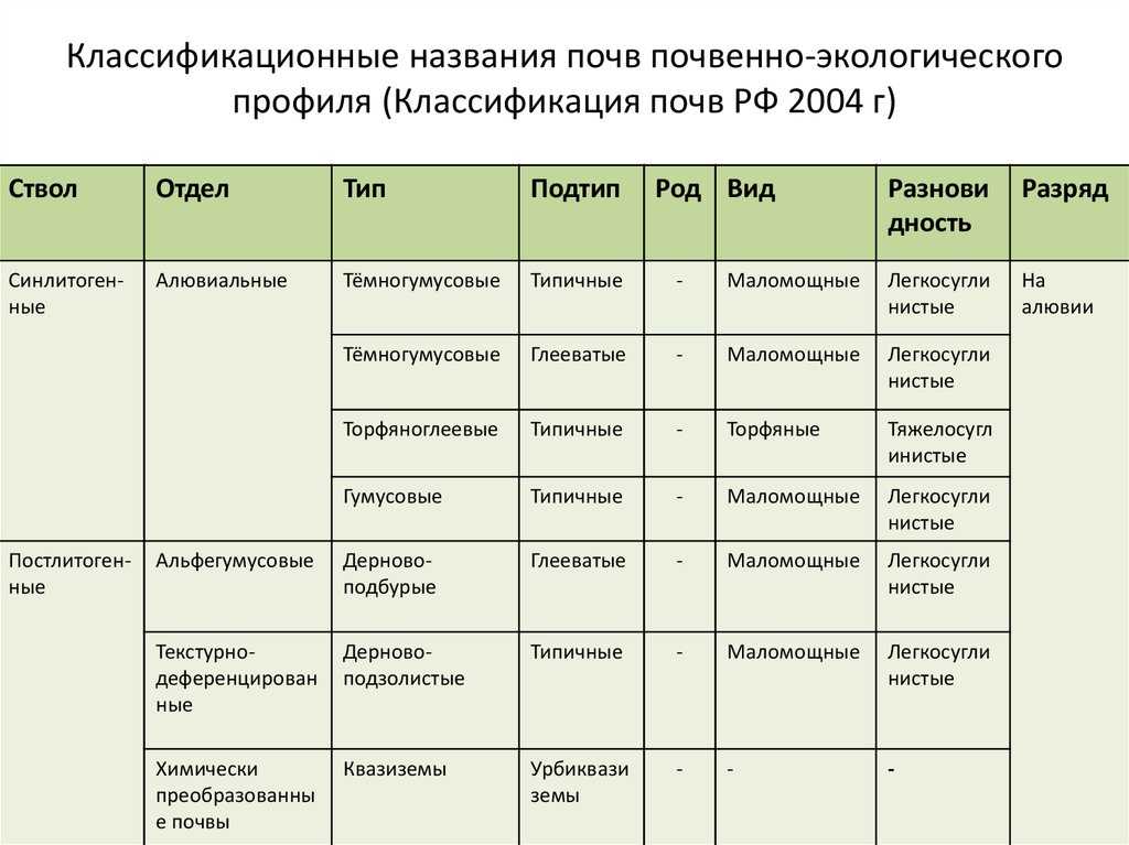Что ⭐️ такое почва: описание, состав, особенности строения, примеры почв
