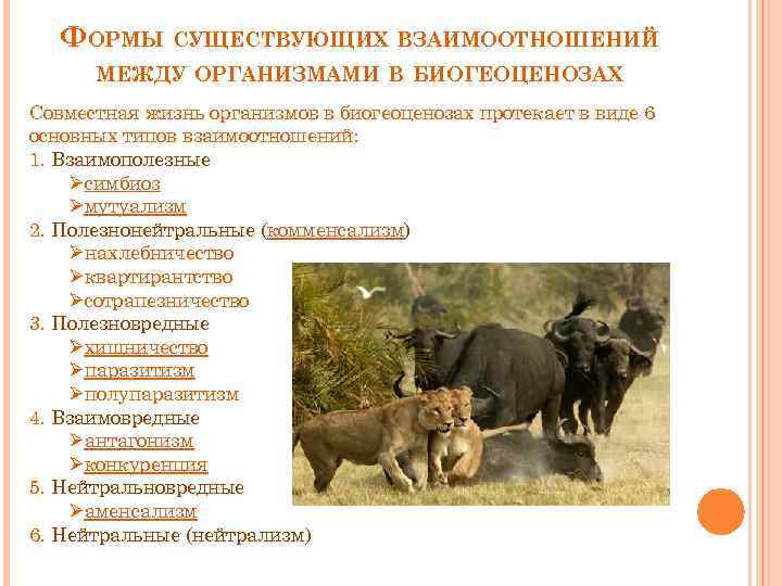 Физиологические адаптации, примеры приспособления живых организмов к условиям среды
