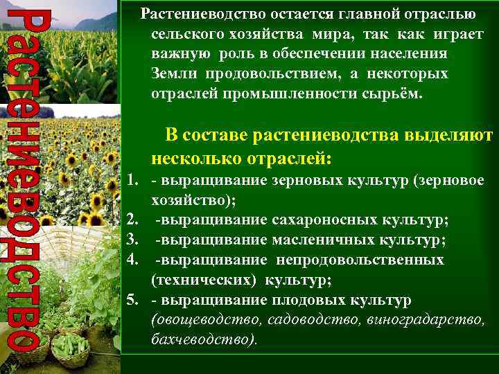 Презентация на тему: "кормопроизводство как наука, теоретические основы кормопроизводства.". скачать бесплатно и без регистрации.