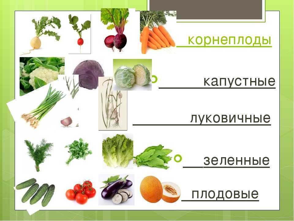 Ботаническая характеристика и сорта моркови