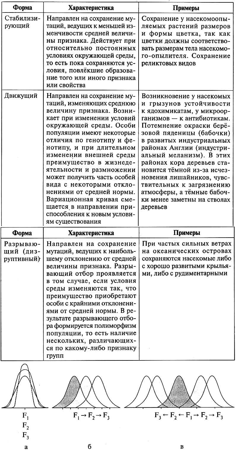 Движущие силы эволюции