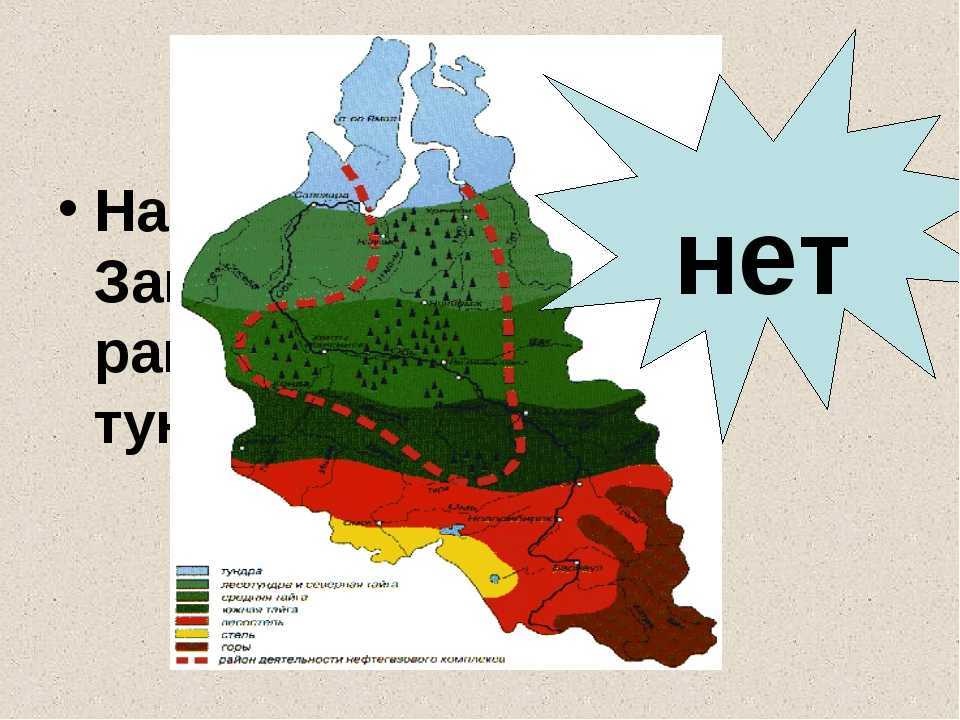 Западно-сибирская равнина. география, информация
