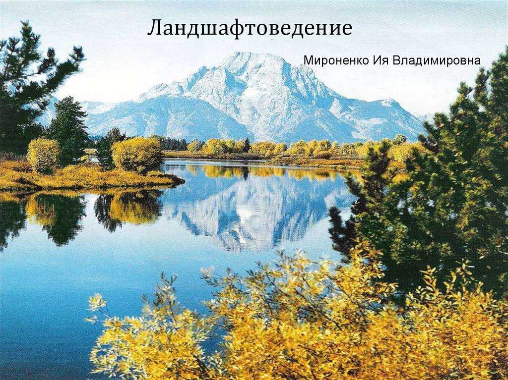 Какие бывают ландшафты: виды и классификация с примерами