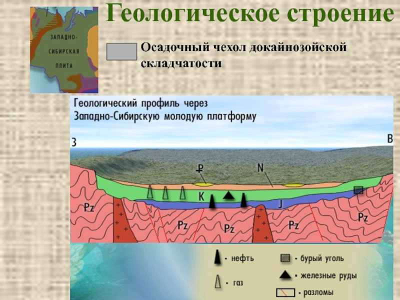 Западно-сибирская равнина. география, информация