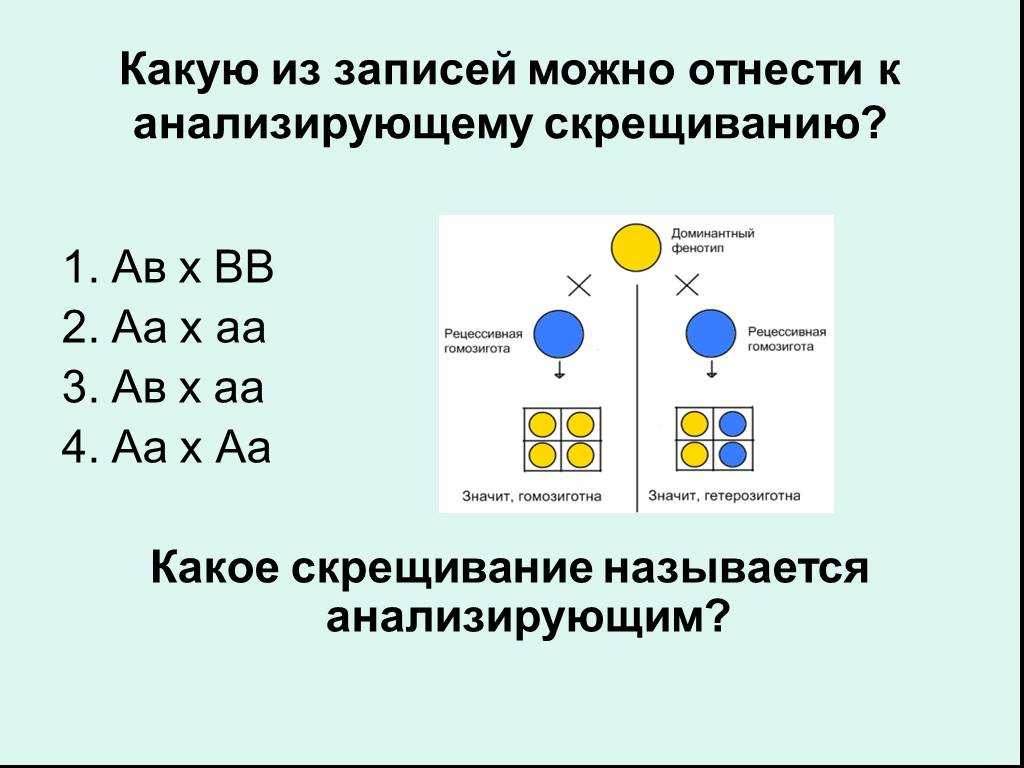 Презентация на тему "биология и генетика пола" по биологии для 10 класса