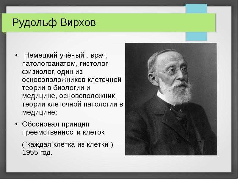 История развития цитологии реферат