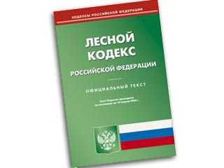 Статья 115. ценные леса. глава 17. защитные леса, эксплуатационные леса, резервные леса, особо защитные участки лесов. лесной кодекс российской федерации. лесной кодекс российской федерации. лесной кодекс рф.