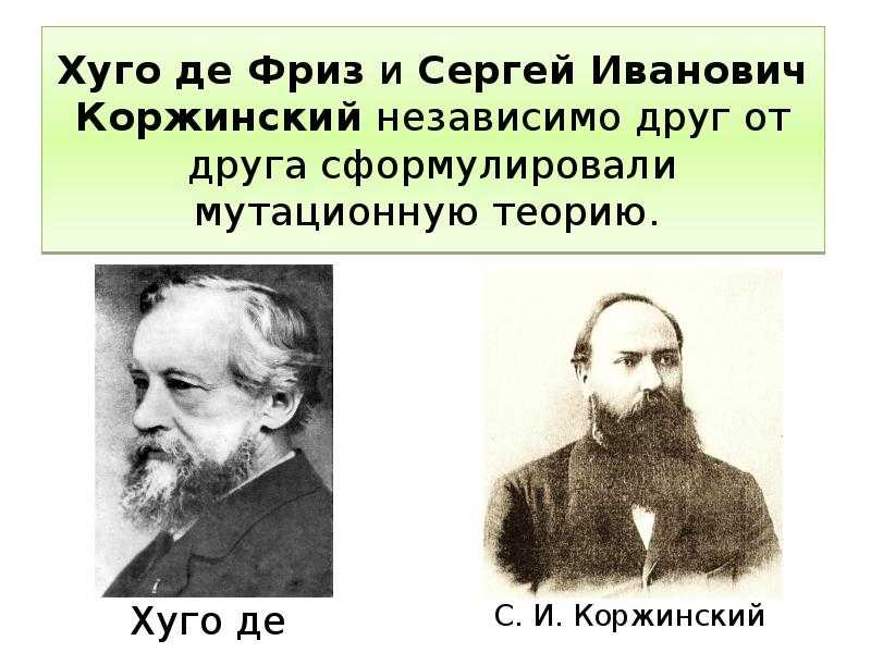 Фамилия коржинский, история, значение, суть, перевод на английский, склонение по падежам | namesdb.ru