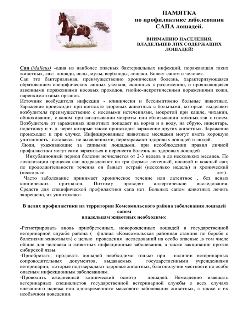 Инфекционная анемия лошадей: возбудитель, симптомы и лечение, профилактика, опасна ли для человека