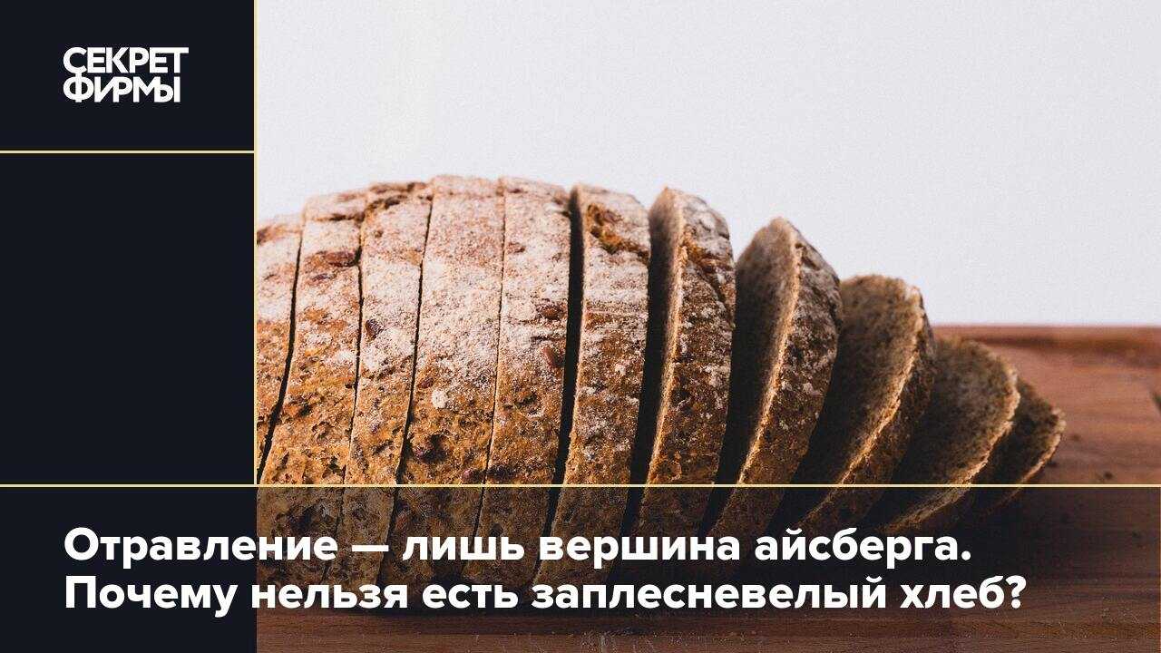 Как хранить кукурузу, сколько хранится