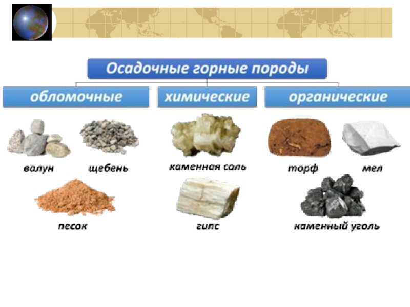 Разведение сельскохозяйственных животных