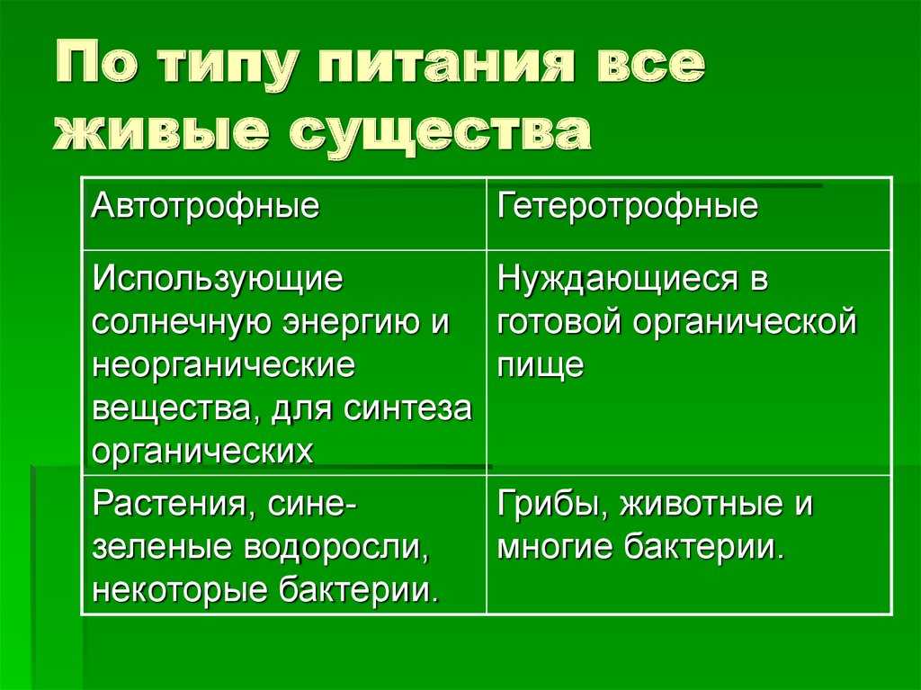 Различия организмов по способу питания