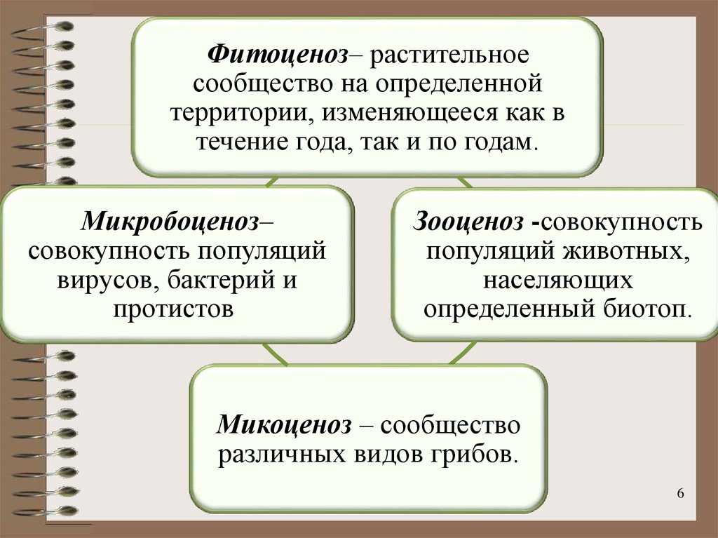 Основы фитоценологии и географии растений - т. п. ларькина - 2017