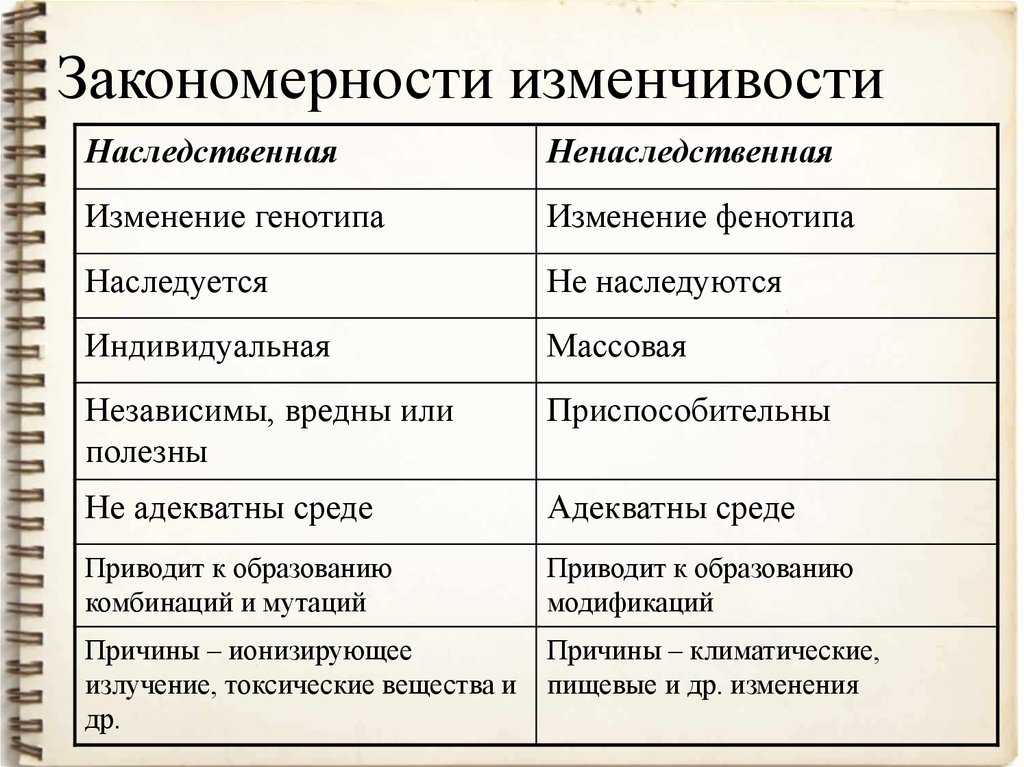 Закономерности изменчивости | дистанционные уроки