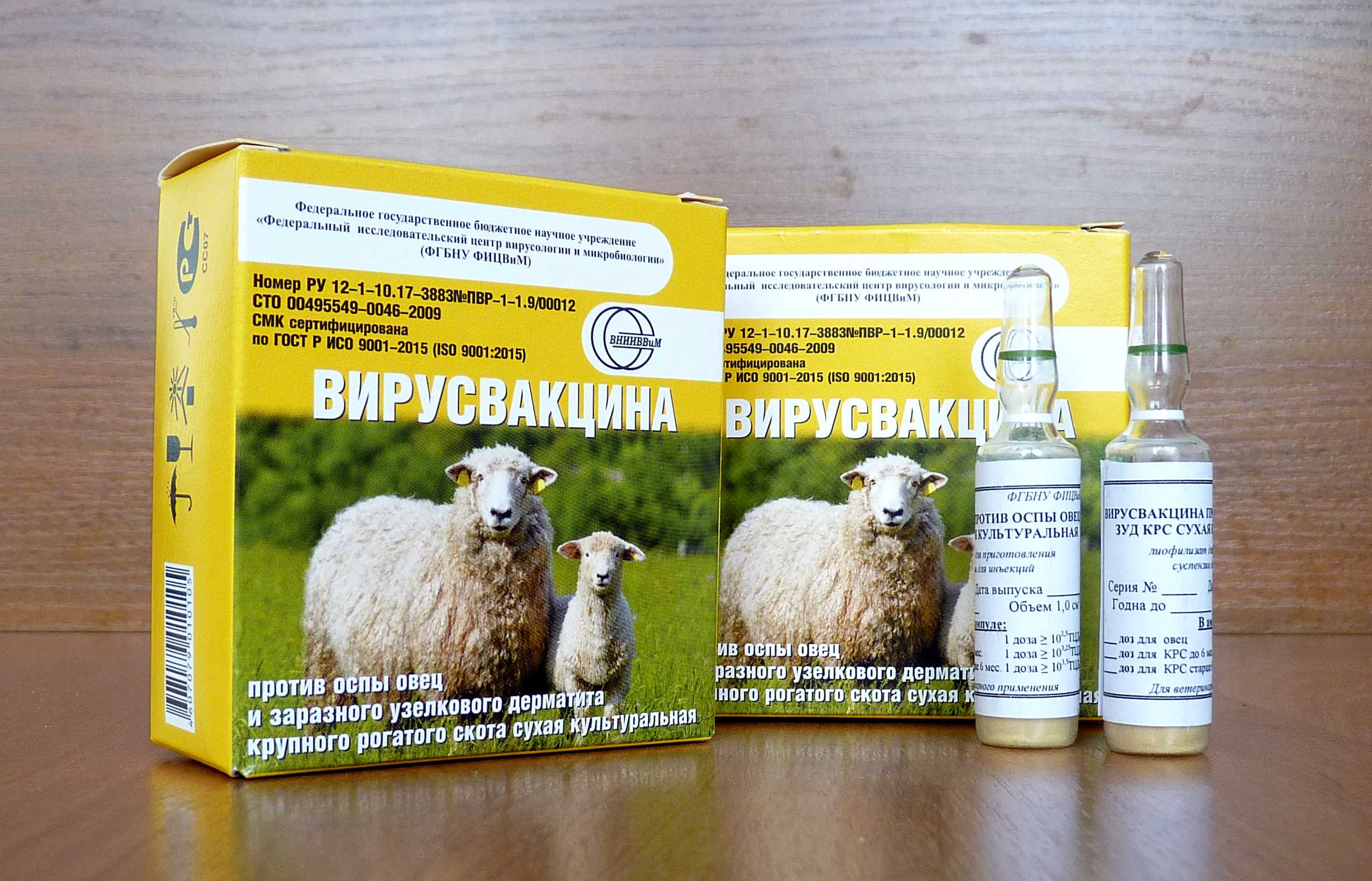 Эймериоз у крс