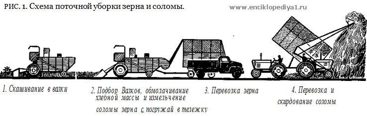 Урок 29технологии уборки урожая