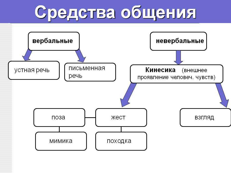 Как птицы узнают друг друга? - журнал «мои животные»