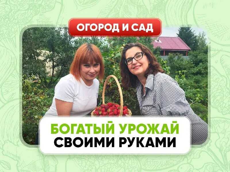 «пестициды – токсический удар по биосфере и человеку»