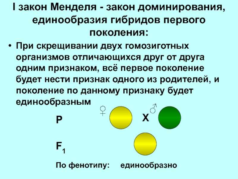 Закономерности наследования признаков при внутривидовой гибридизации.