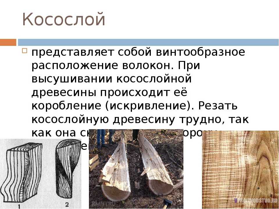 Разновидности пороков деревесины