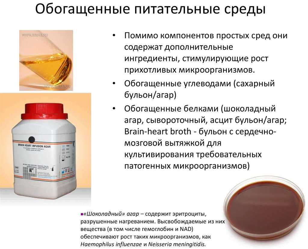 Персональный сайт - лекция05. культивирование и рост микроорганизмов