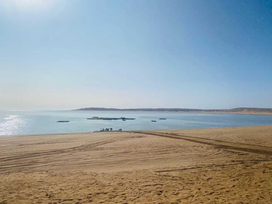 Шардаринское водохранилище