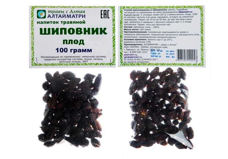 Шиповник – полезные свойства, состав и противопоказания (+ 17 фото)
