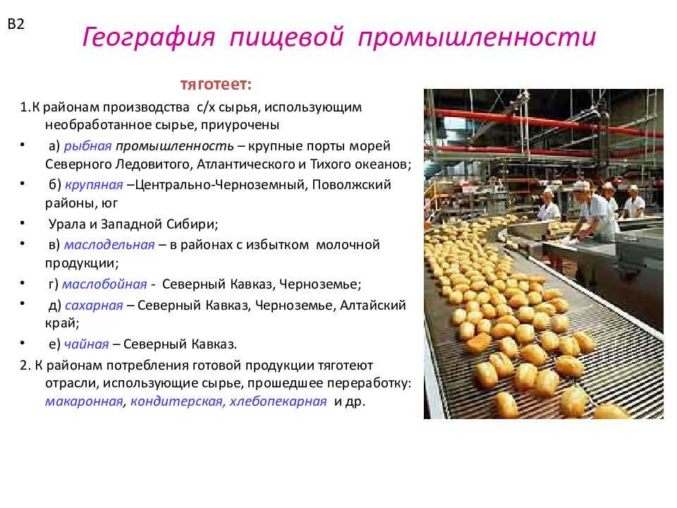 Грибы в пищевой и лекарственной промышленности