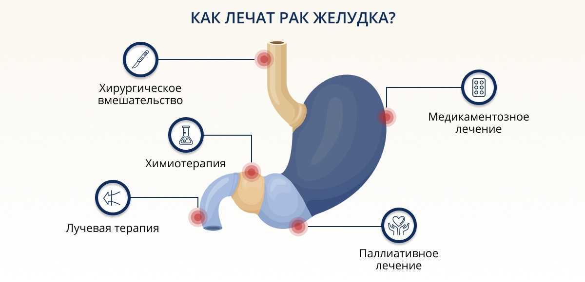 Резекция кишки у мелких животных. инвагинация кишечника у животных