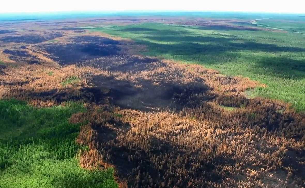 Исследование влияния лесных пожаров на почвы широколиственных лесов (на примере еврейской автономной области)