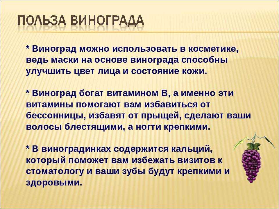 Где использовать недозрелый виноград: интересные рецепты и варианты - сибирский сад