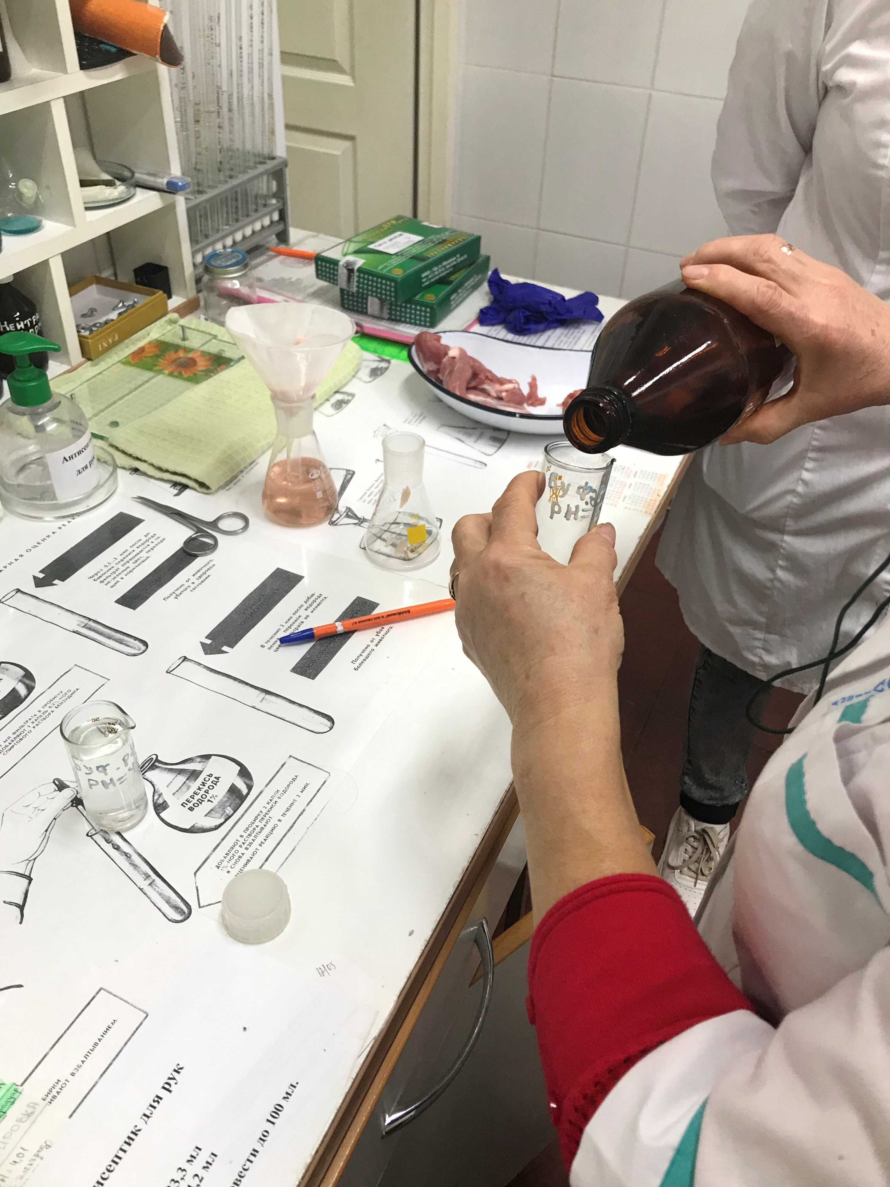 Распространение саркоцистоза и морфофункциональное состояние печени при хронической форме заболевания крупного рогатого скота   свинцов роман александрович