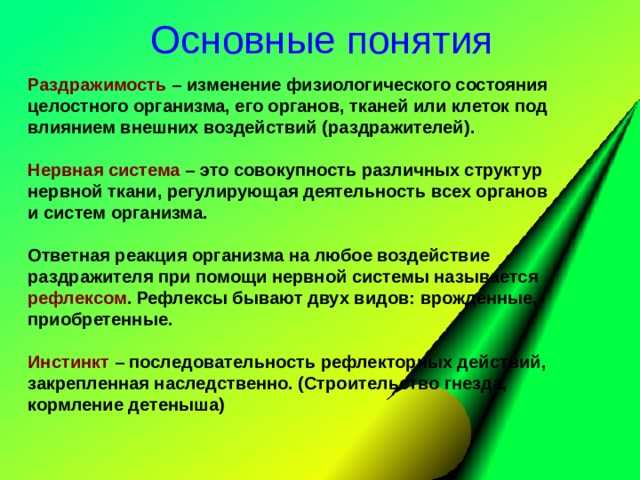 Чем отличаются таксисы от рефлексов и от инстинктов?