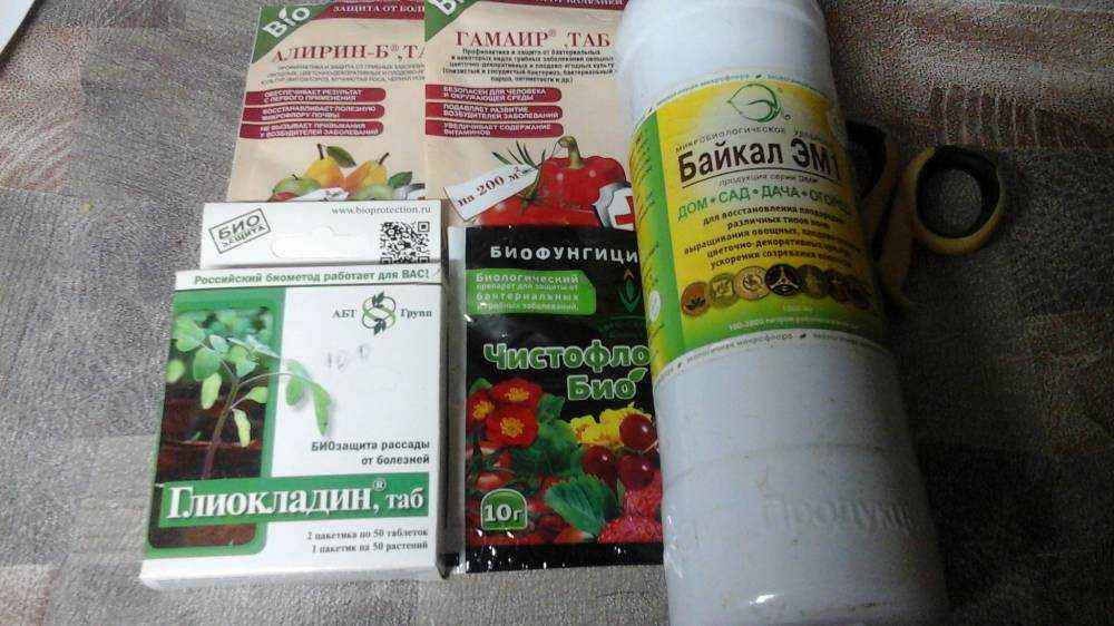 Методы борьбы с сорными растениями.