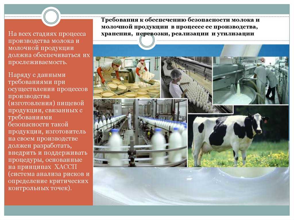 Влияние физических факторов на качественный и количественный состав молока и молочных продуктов