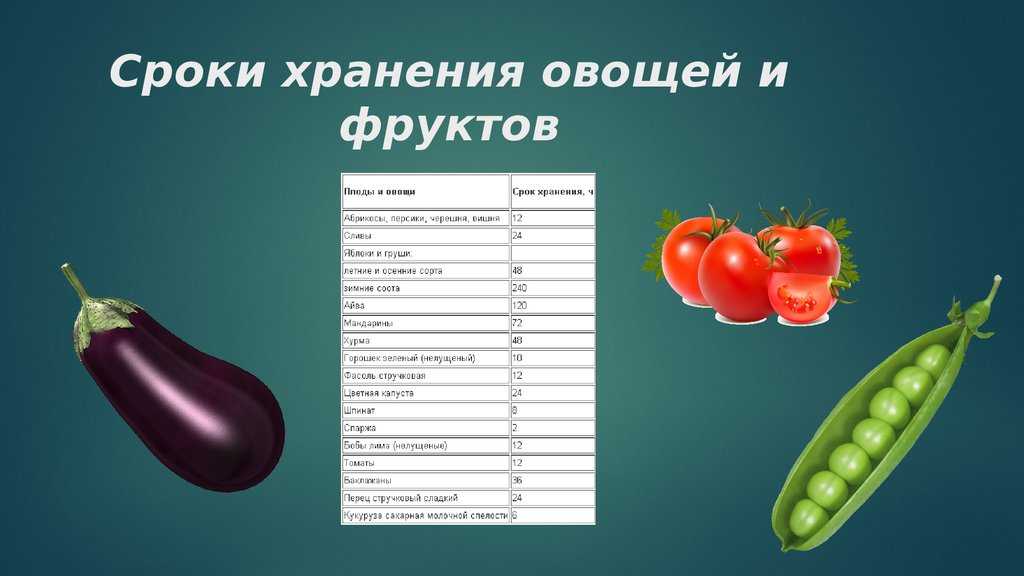 Как правильно хранить засахаренные ягоды: секреты длительного хранения в холодильнике — сколько хранится, что делать, чем опасно