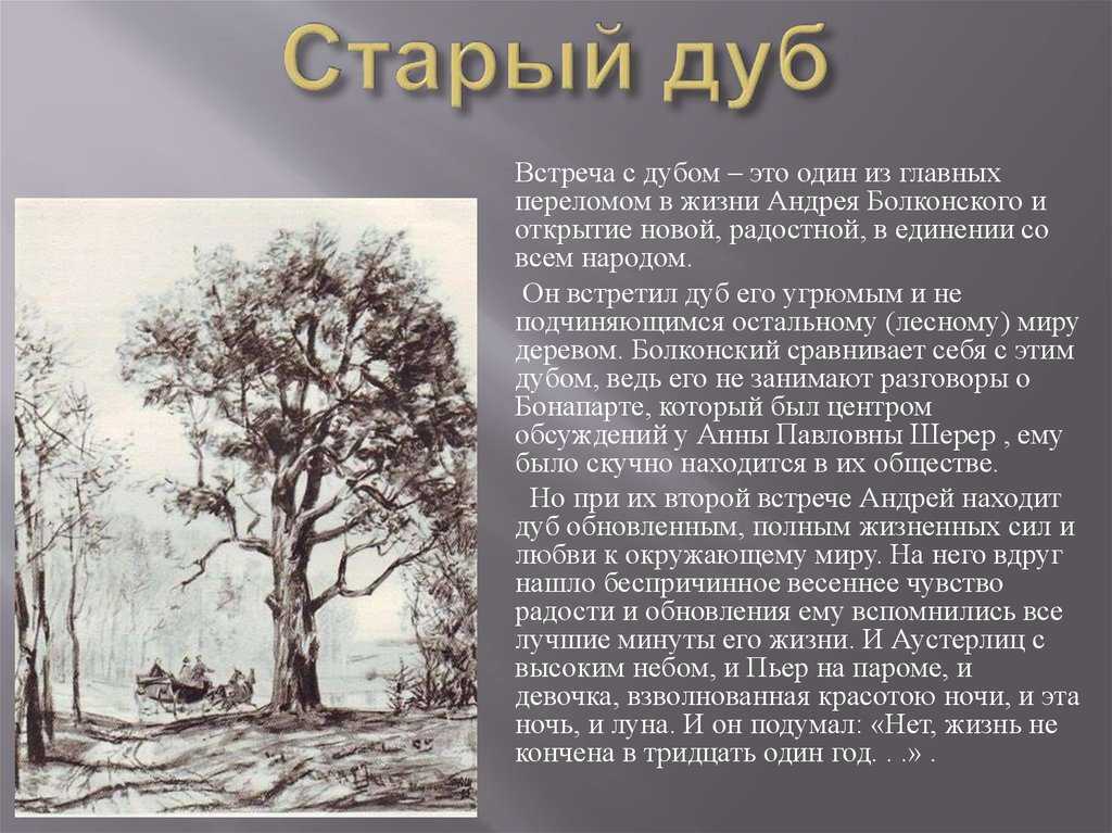Комплексное планирование кружковой работы «лесной теремок» по экологическому воспитанию детей старшего дошкольного возраста. воспитателям детских садов, школьным учителям и педагогам - маам.ру